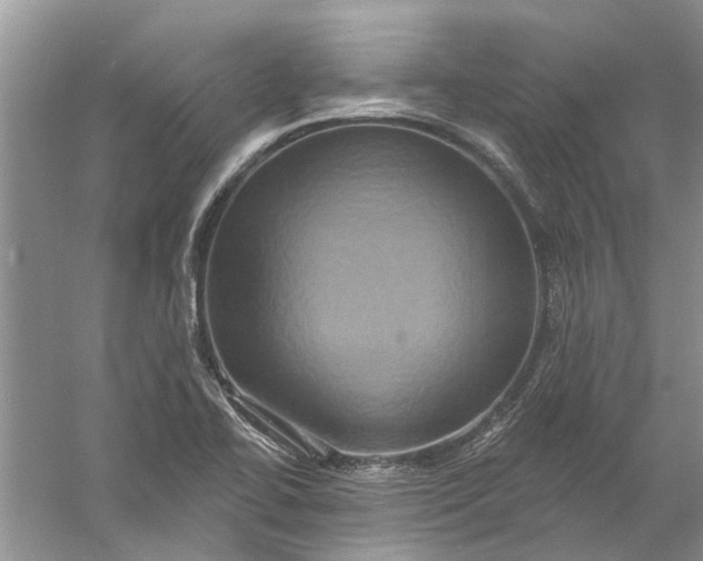 X0000061151414200512022302