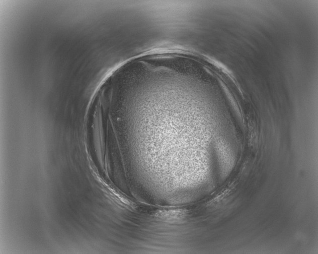 X0000061151415200512022302