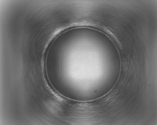 X0000061151416200512022302