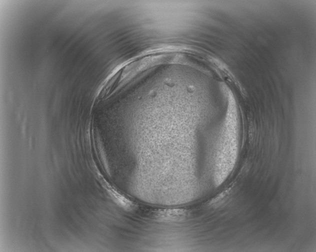 X0000061151417200512022302