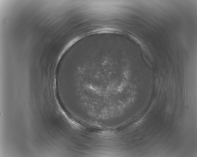 X0000061151418200512022302