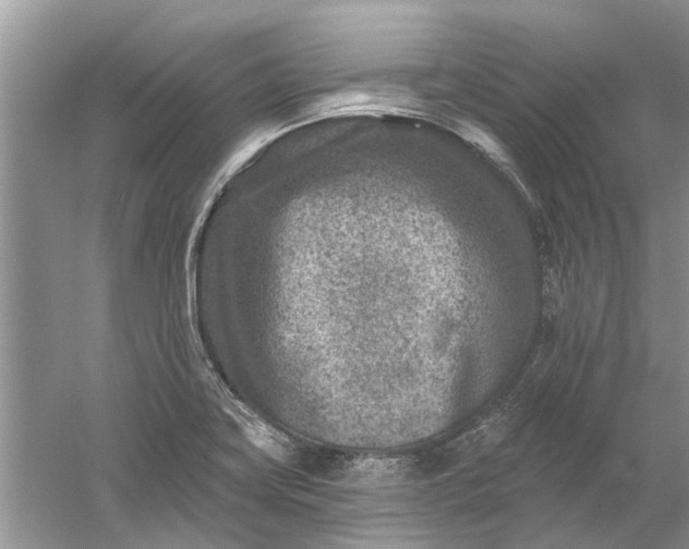 X0000061151419200512022302