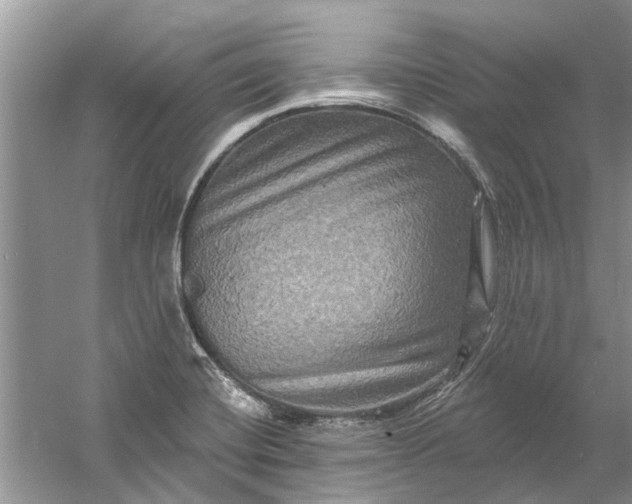 X0000061151420200512022302