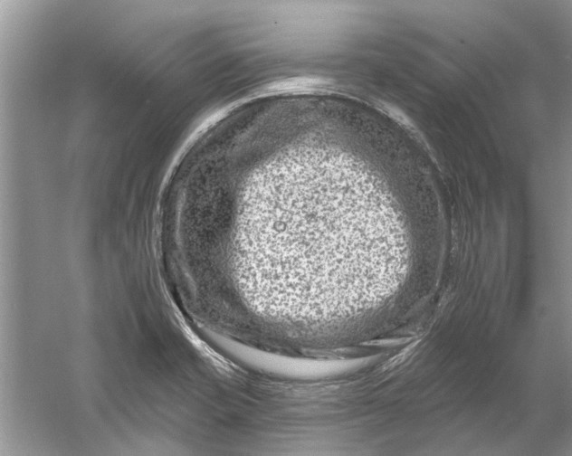 X0000061151421200512022302