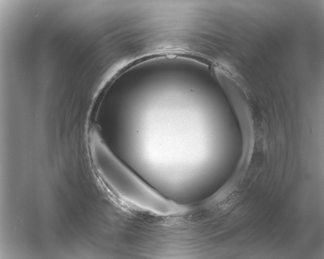 X0000061151422200512022302