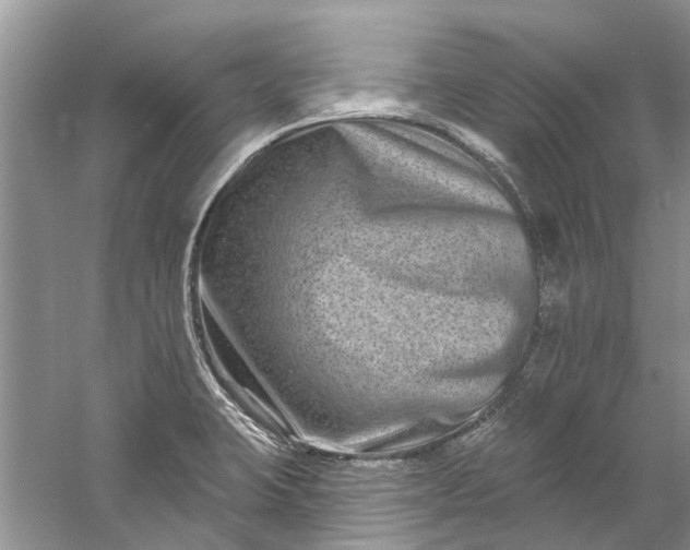 X0000061151423200512022302