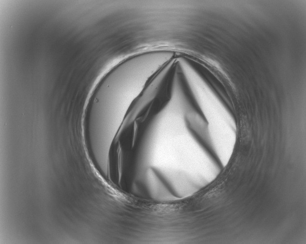 X0000061151424200512022302