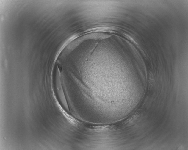 X0000061151426200512022302