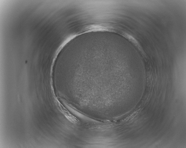 X0000061151427200512022302