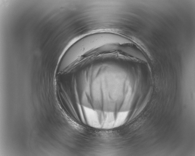 X0000061151428200512022302