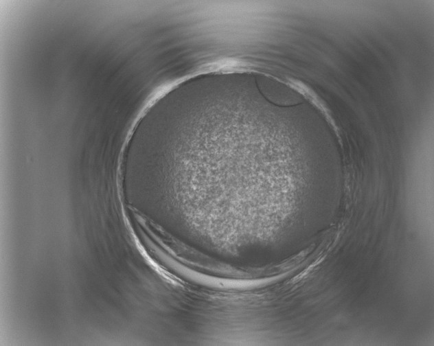 X0000061151429200512022302