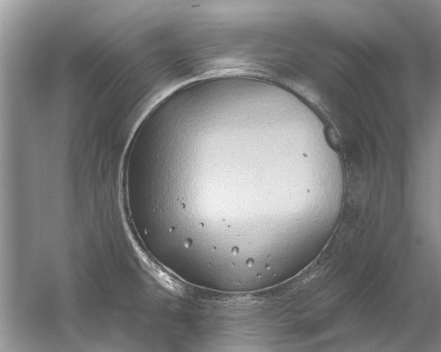 X0000061151431200512022302