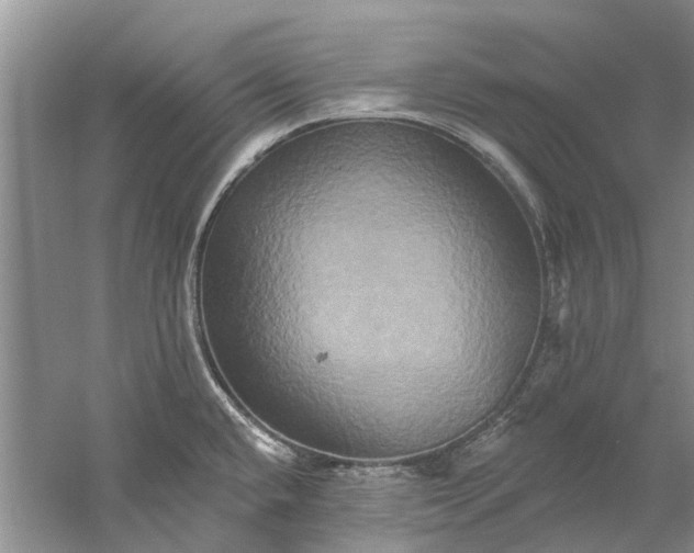 X0000061151432200512022302