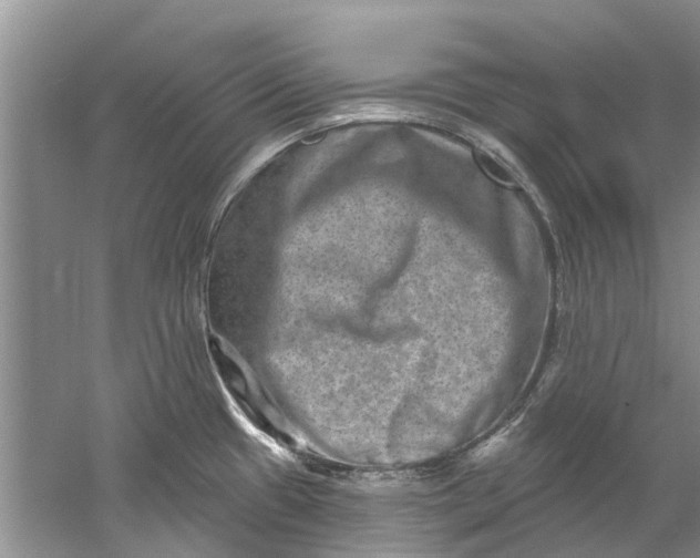 X0000061151433200512022302