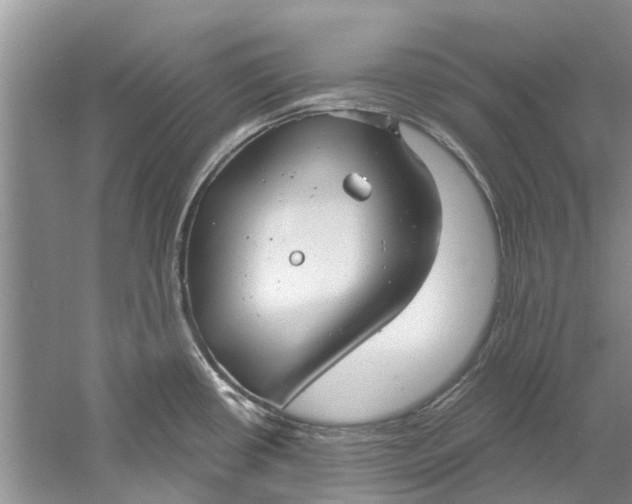 X0000061151434200512022302