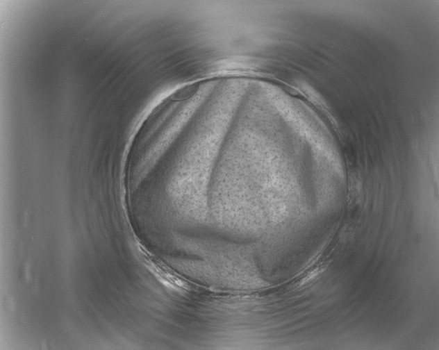 X0000061151435200512022302