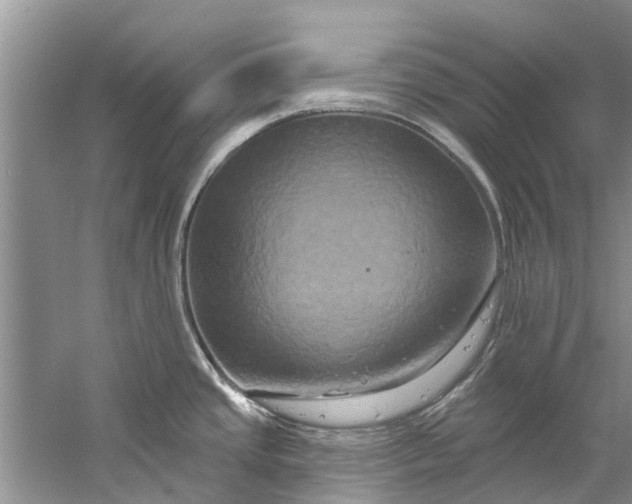 X0000061151437200512022302