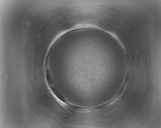 X0000061151438200512022302