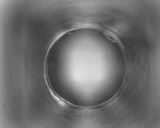 X0000061151439200512022302