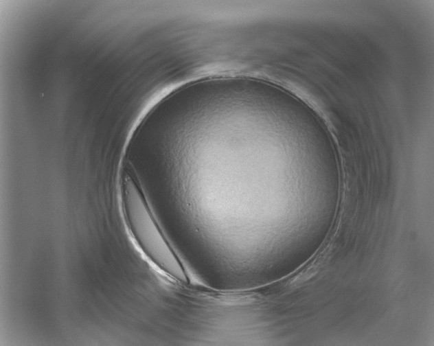 X0000061151440200512022302