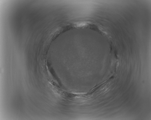 X0000061151441200512022302