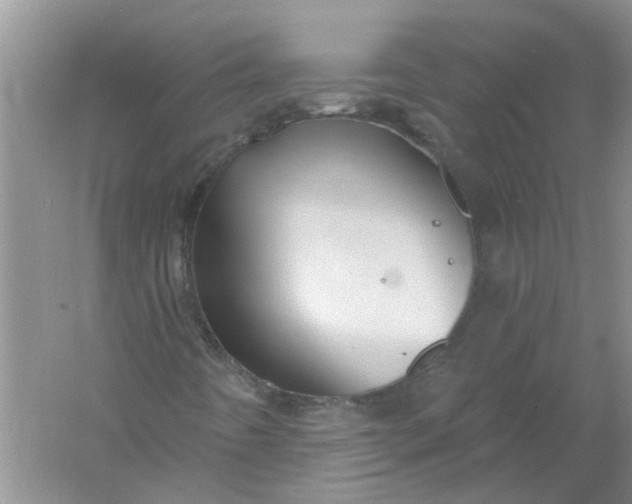 X0000061151442200512022302