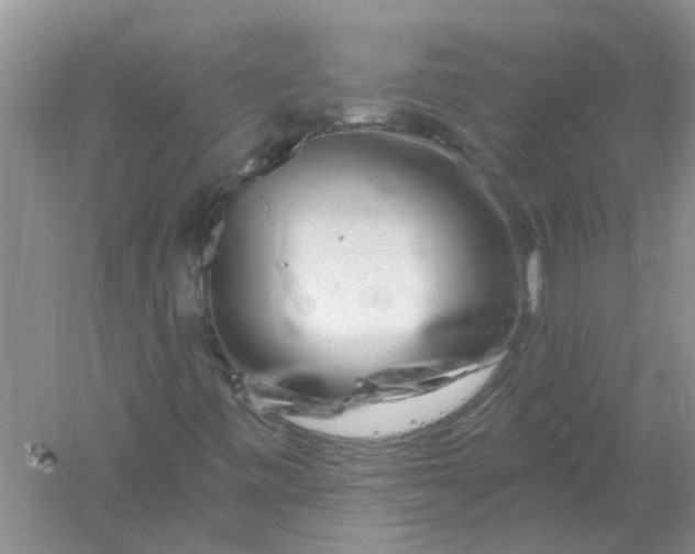 X0000061151443200512022301