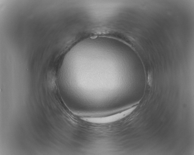 X0000061151444200512022301