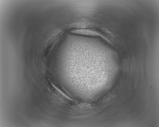 X0000061151446200512022301