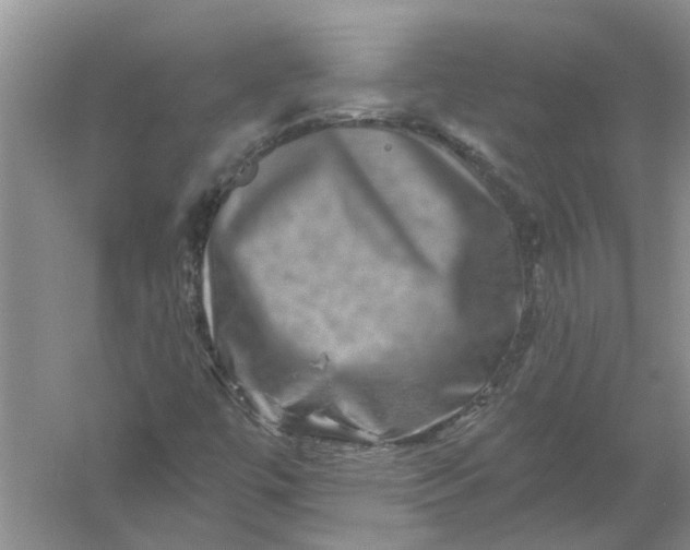 X0000061151447200512022301