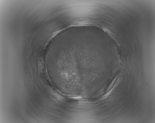 X0000061151449200512022301