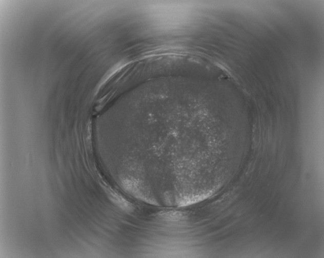 X0000061151450200512022301