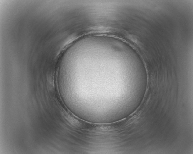 X0000061151451200512022301