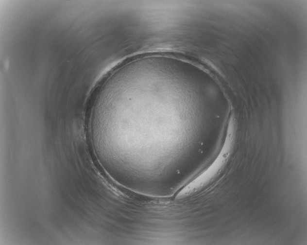 X0000061151452200512022301