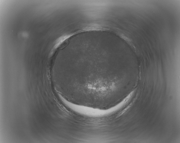 X0000061151453200512022301