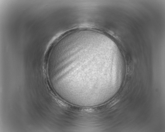 X0000061151454200512022301