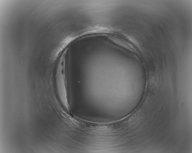 X0000061151455200512022301