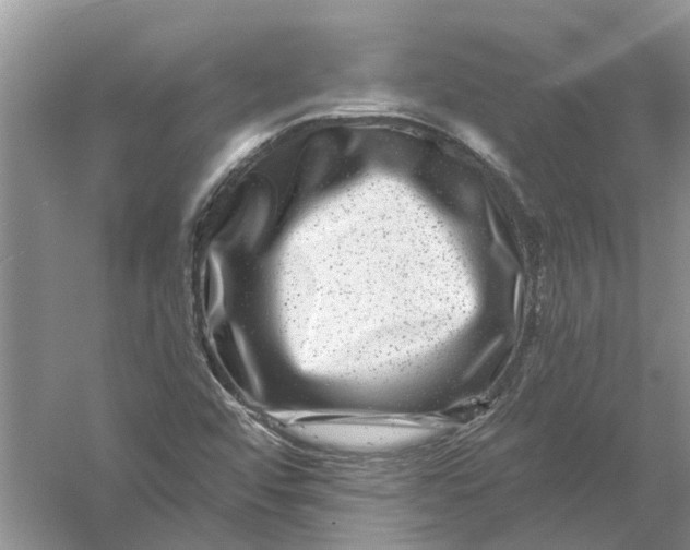 X0000061151456200512022301