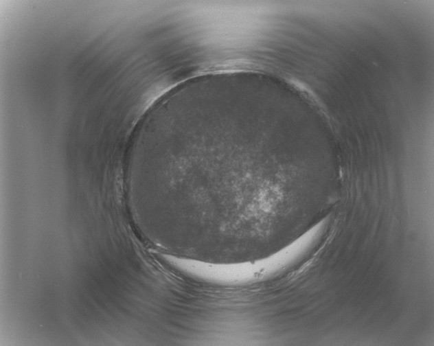 X0000061151457200512022301