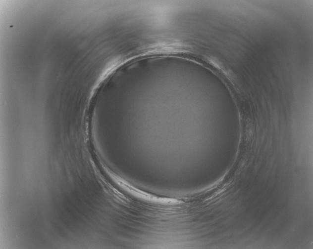 X0000061151459200512022301