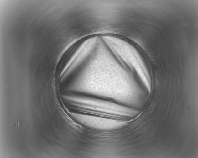 X0000061151460200512022301