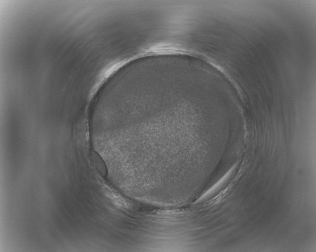 X0000061151461200512022301