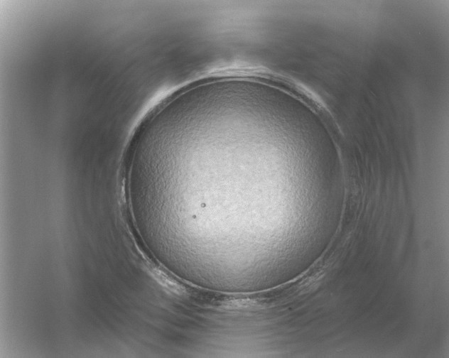 X0000061151462200512022301