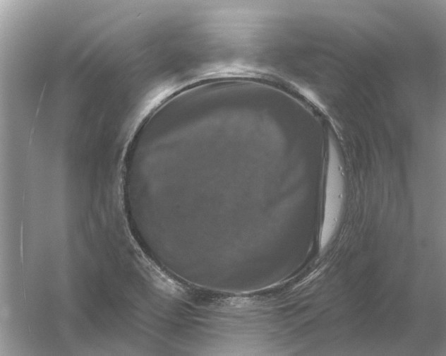 X0000061151463200512022301