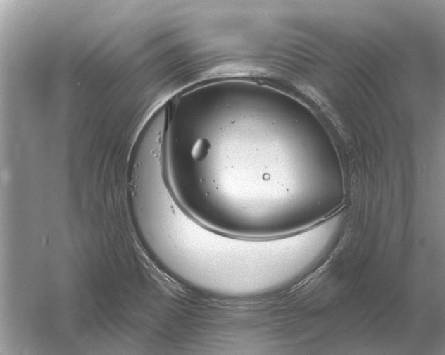 X0000061151465200512022301