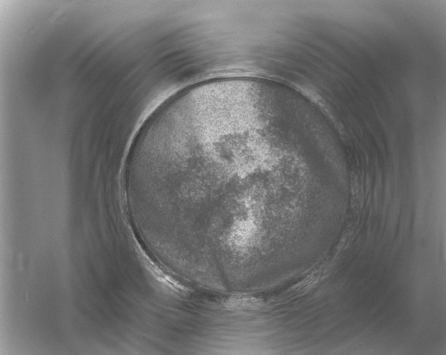 X0000061151466200512022301