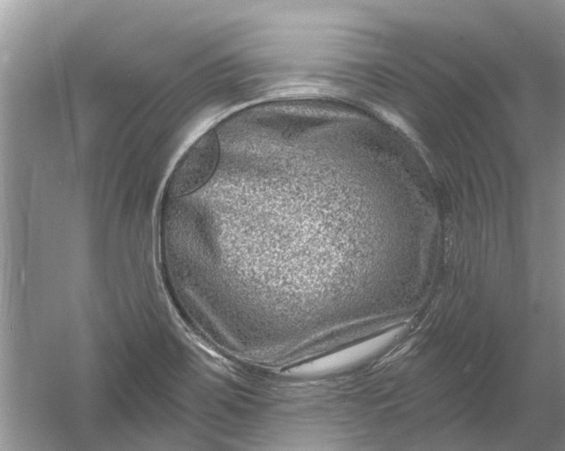 X0000061151467200512022301