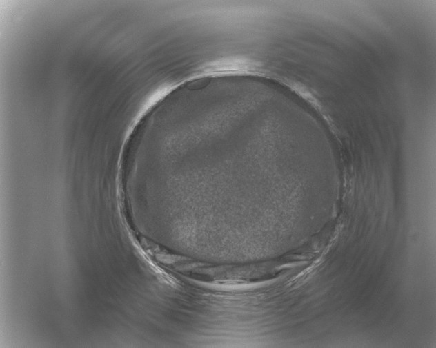 X0000061151469200512022301