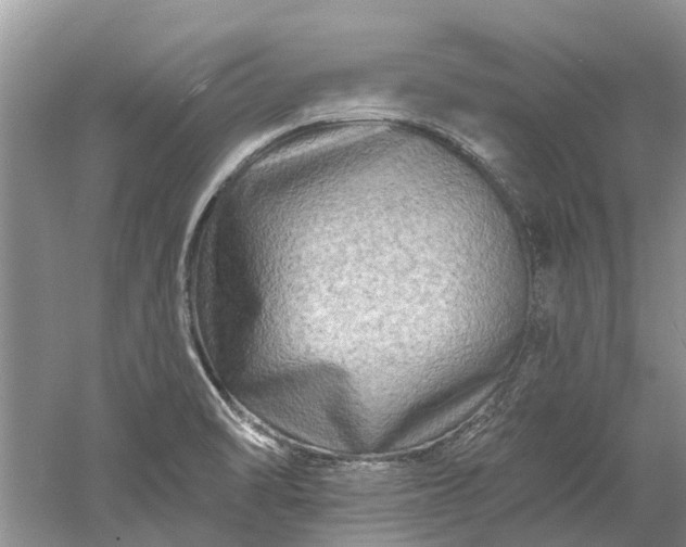 X0000061151470200512022301