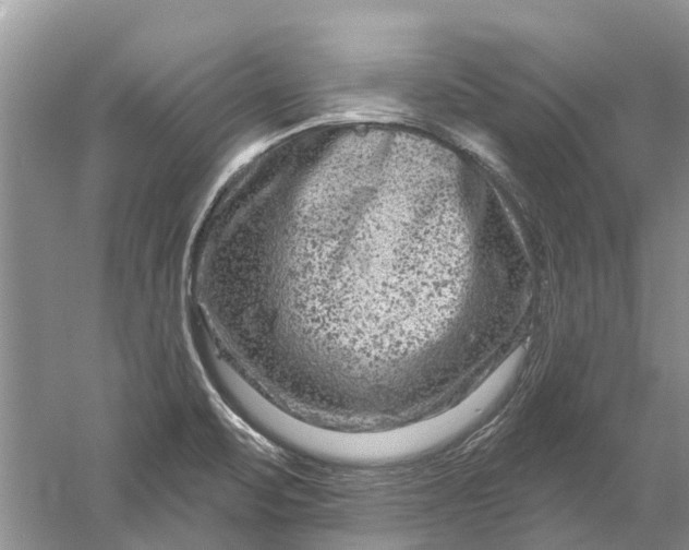 X0000061151471200512022301